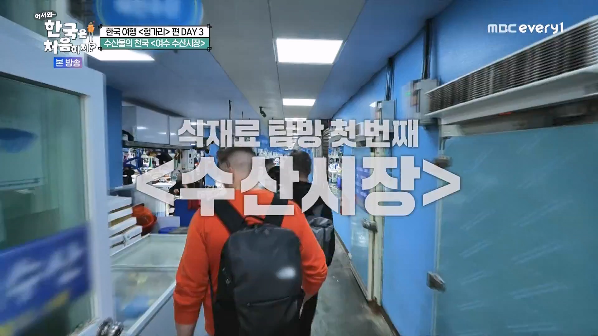 어서와 한국은 처음이지.E318.240613p.WANNA.mp4_20240615_163920.198.jpg