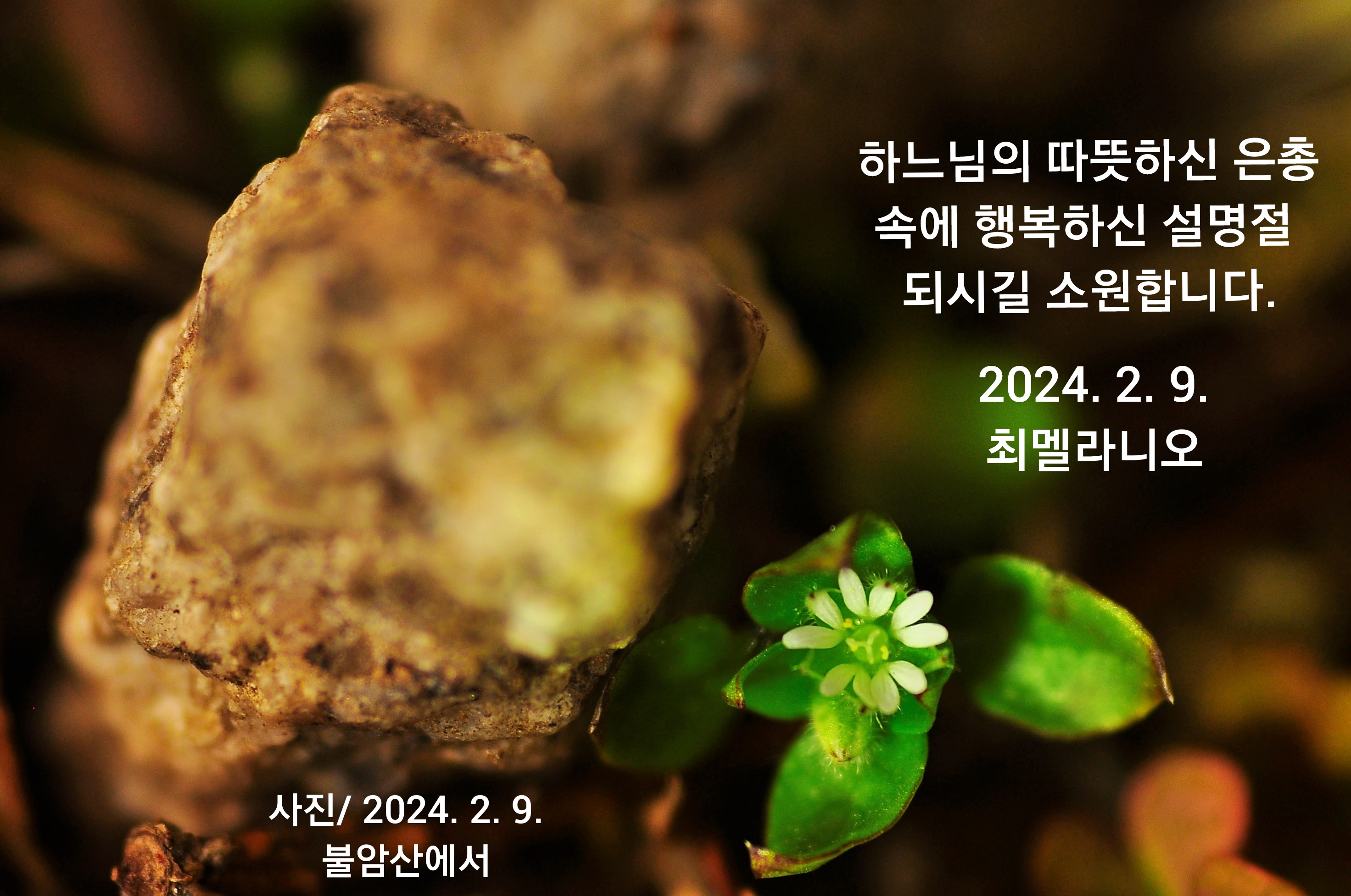 그믐 이미지