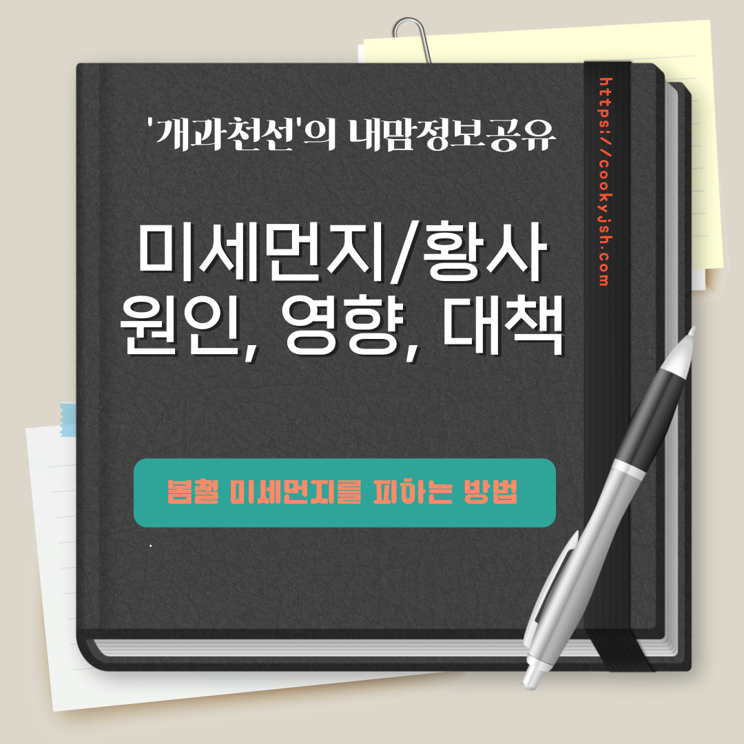 개과천선의 내맘정보공유 미세먼지/황사 (원인&#44; 신체에 끼치는 영향&#44; 방지대책 및 국가 정책 상황)