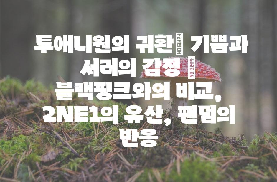 샘플 (42)