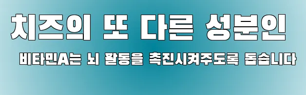 치즈의 또 다른 성분인 비타민A는 뇌 활동을 촉진시켜주도록 돕습니다