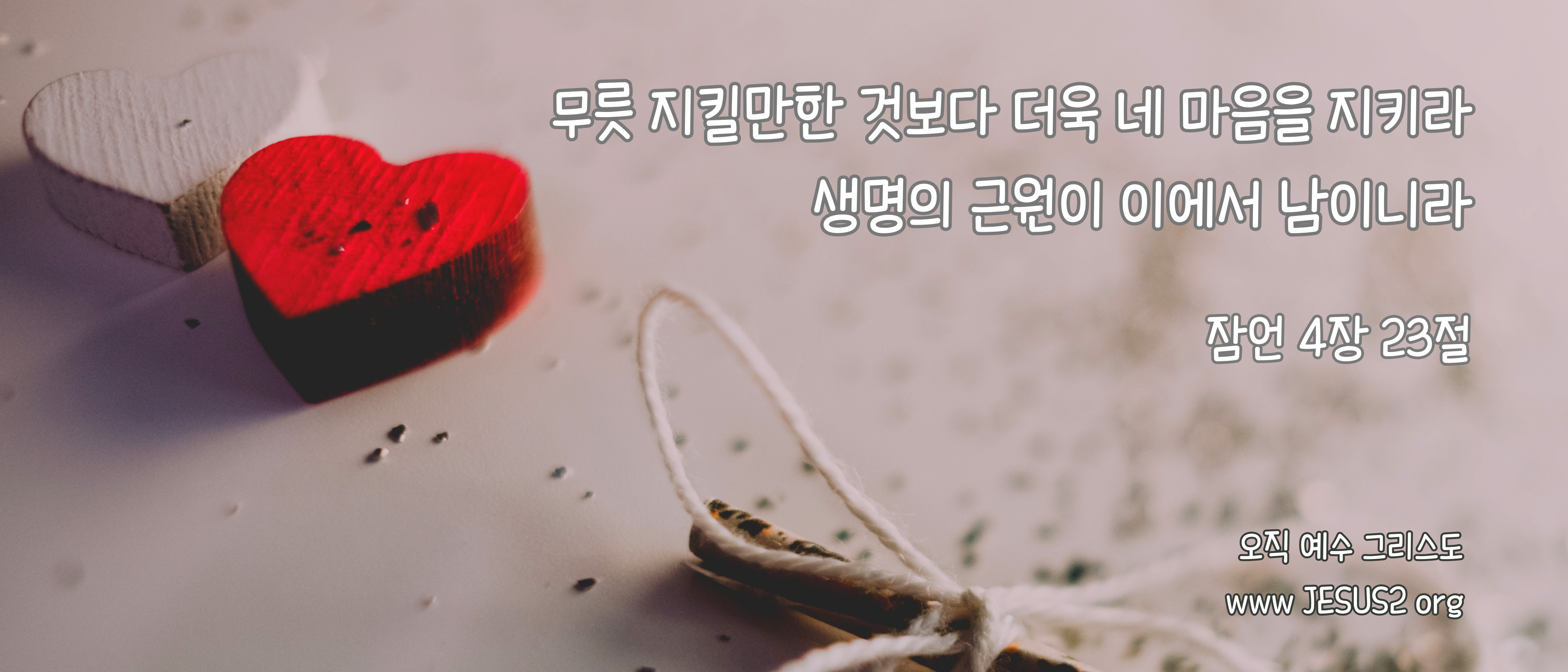 누가복음 6장