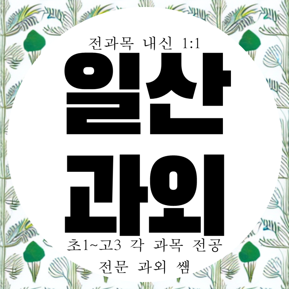  일산 마두동 고등 과학과외 백마학원가 중등 국어과외 영어