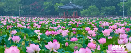 전주-덕진공원