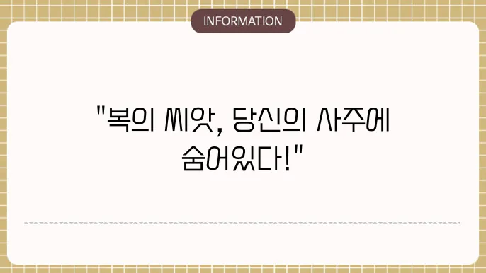 사주암록과 복의 씨앗