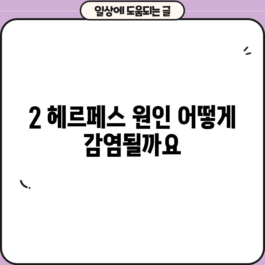 2. 헤르페스 원인: 어떻게 감염될까요?