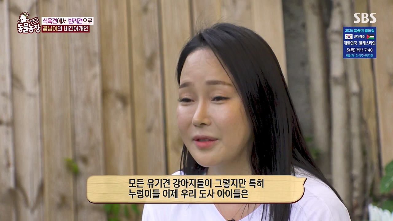 TV 동물농장.E1187.240902p-NEXT.mp4_20240901_155515.523.jpg