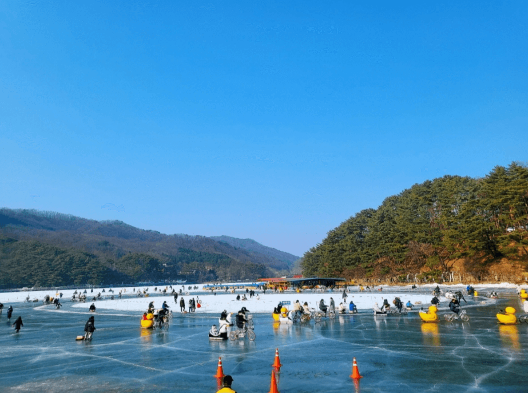 2024&amp;#39; 경기도 겨울 축제 &amp; 주변 맛집 / 겨울 방학 갈만한 곳 