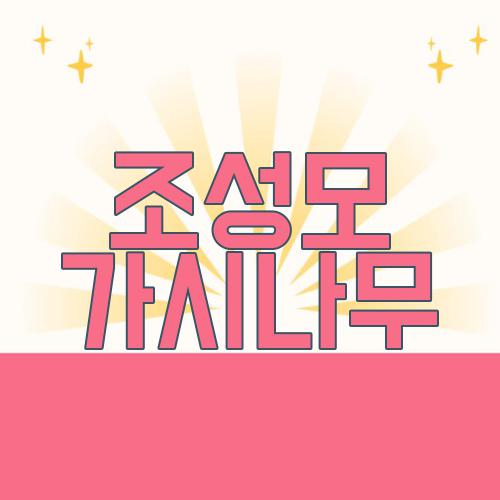 조성모 가시나무