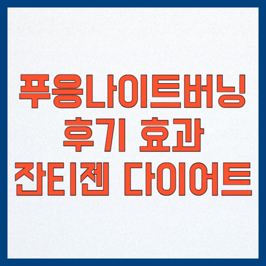 푸응 나이트버닝 후기