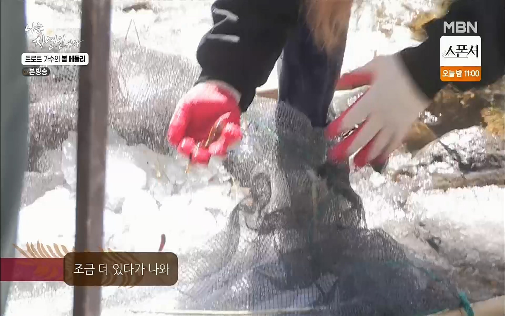 나는 자연인이다.E494.220323p.H264-F1RST.mp4_20220324_183844.869.jpg