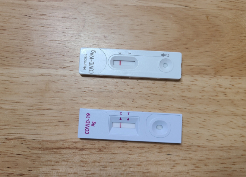 코로나 자가진단키트 사용방법과 주의사항(+가격 정확도 후기 통증)