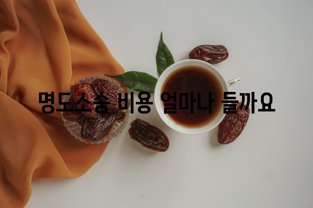 명도소송 비용 얼마나 들까요