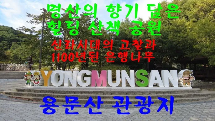 양평 가볼만한곳 베스트10 현지인 추천 필수코스_7