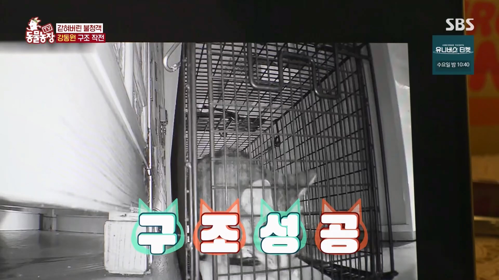 TV 동물농장.E1148.231203p.H264-F1RST.mp4_20231203_165836.366.jpg
