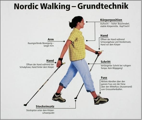 힘 하나 안들이고 체력 키우는 운동...노르딕 워킹 VIDEO: Nordic walking helps improve heart function&#44; study finds