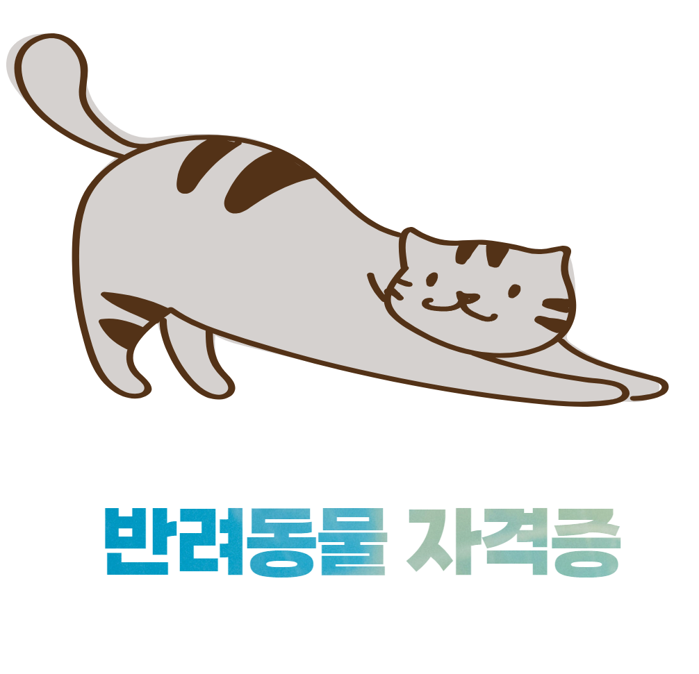 반려동물 자격증 설명