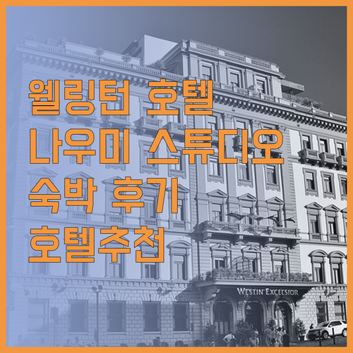 웰링턴 호텔 추천 나우미 스튜디오 웰