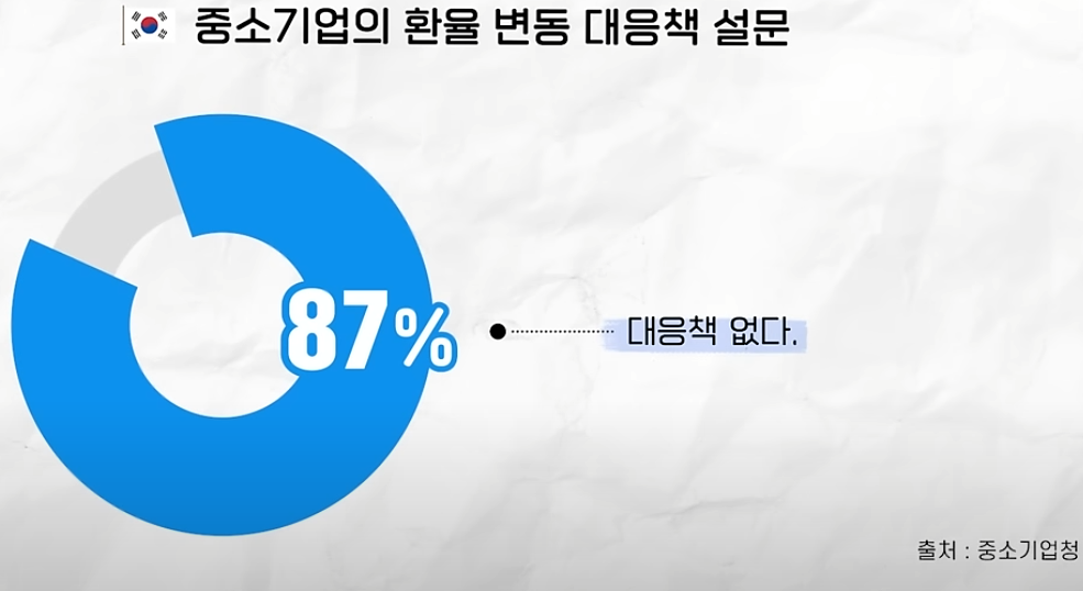 중소기업의 환율 변동 대응책 설문