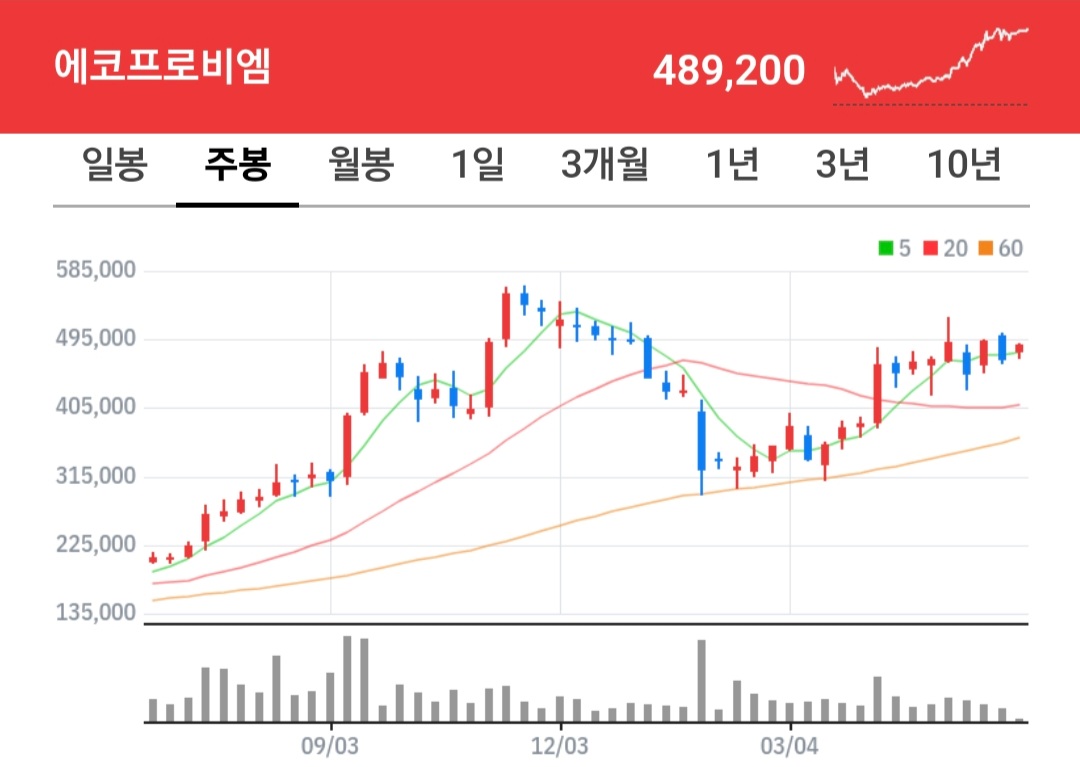 에코프로비엠 주식 차트