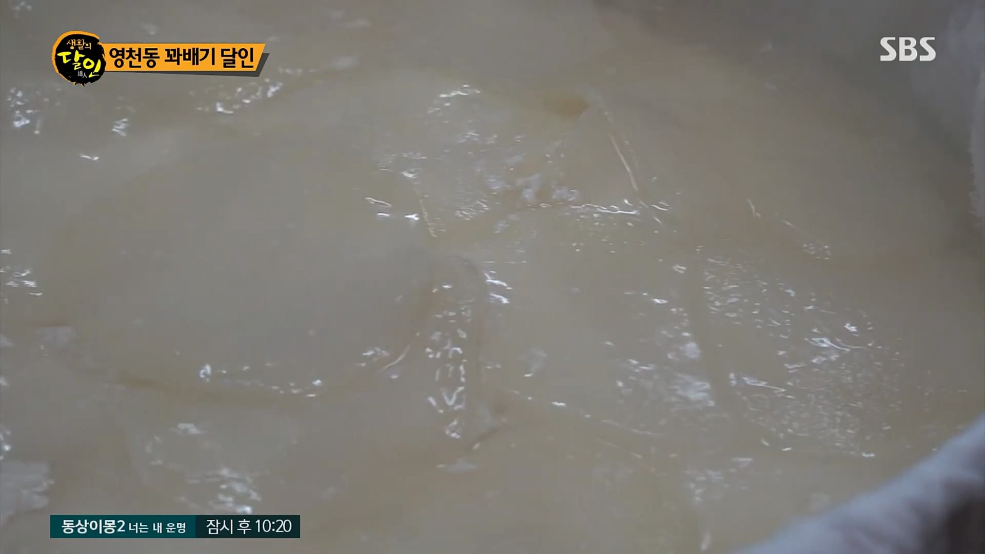 생활의 달인.E878.230227p.H264-F1RST.mp4_20230301_004513.247.jpg