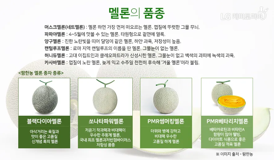 멜론 해지 서비스 중단 방법 안내 센터 해제법_5