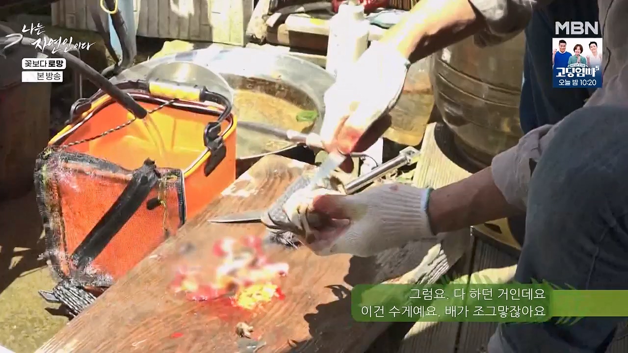 나는 자연인이다.E608.240606p-NEXT.mp4_20240606_164041.809.jpg