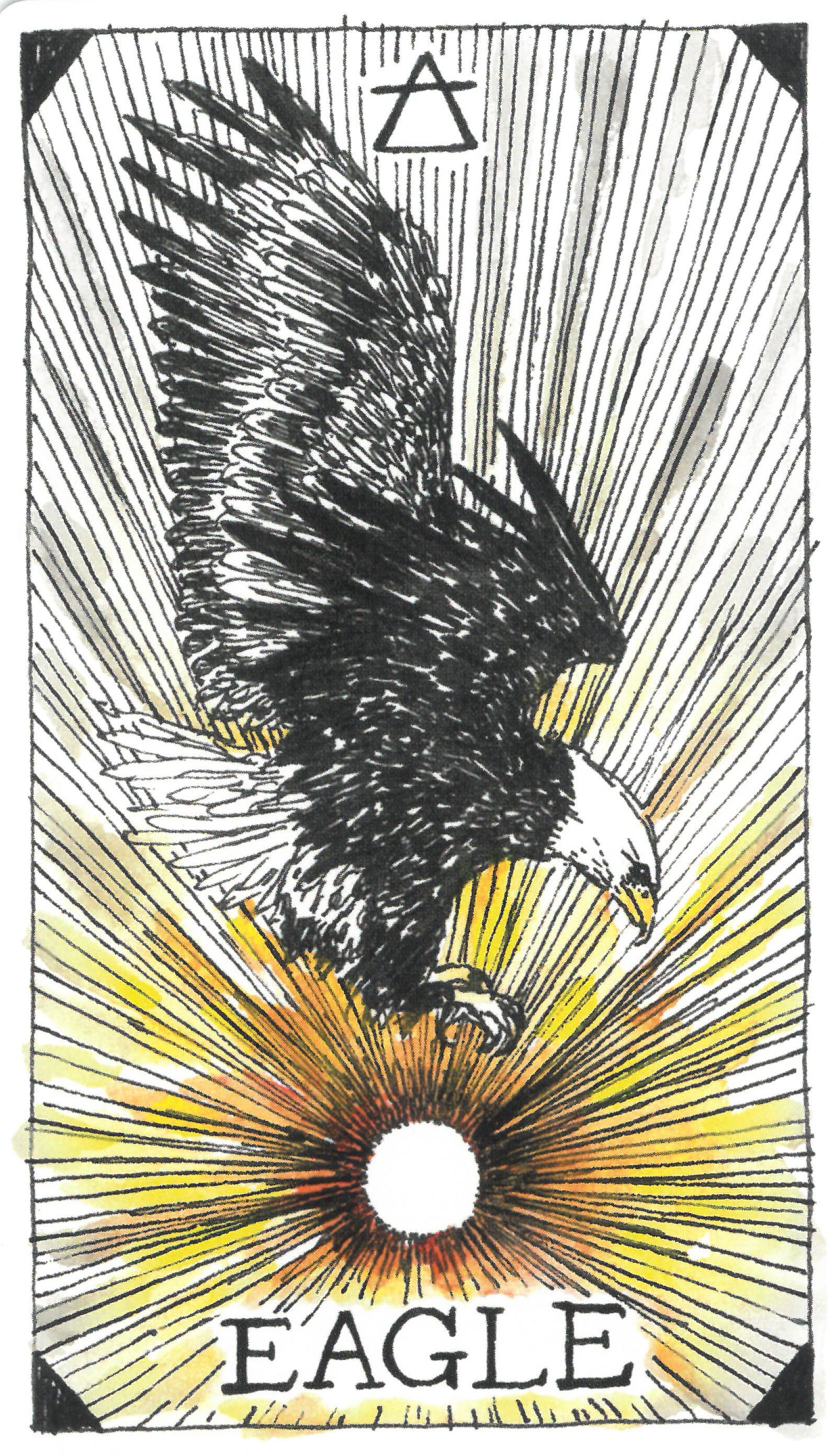 The Wild Unknown Animal Spirit Eagle 독수리