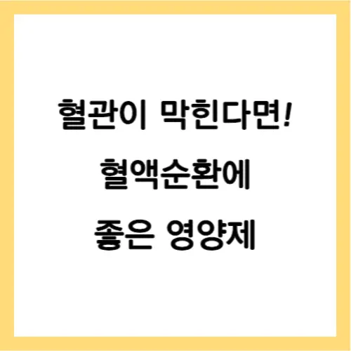 혈액순환 중요성