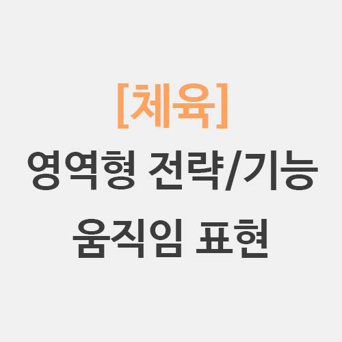  체육 영역형 경쟁 움직임 표현 - 움직임언어, 표현요소