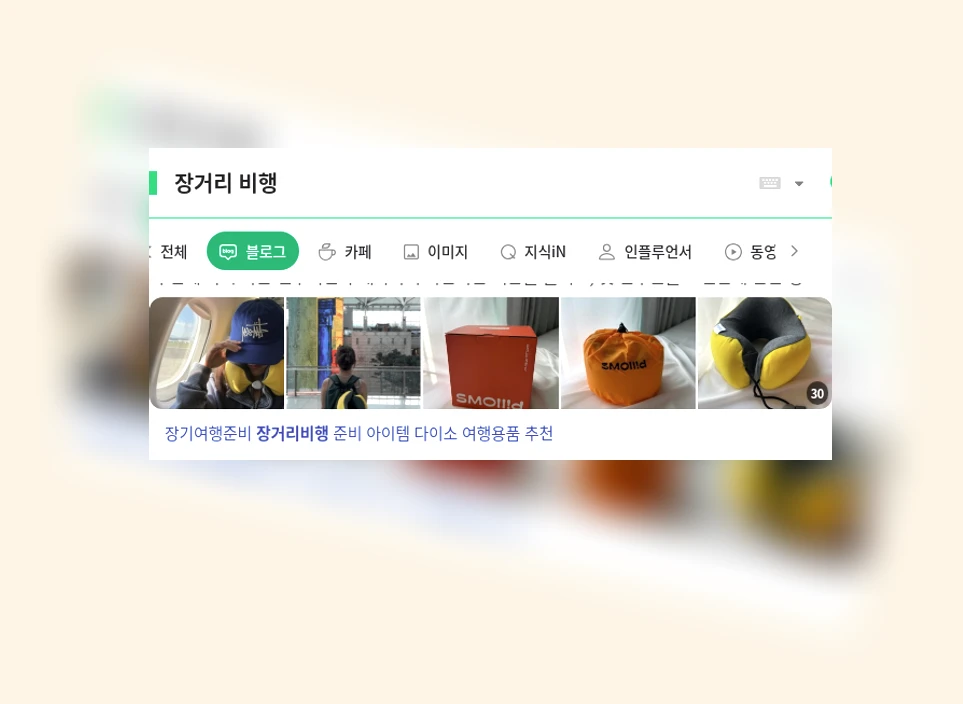 장거리 비행_1_subsection