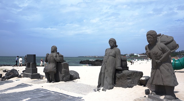제주도 겨울철 건강 여행 관련 사진