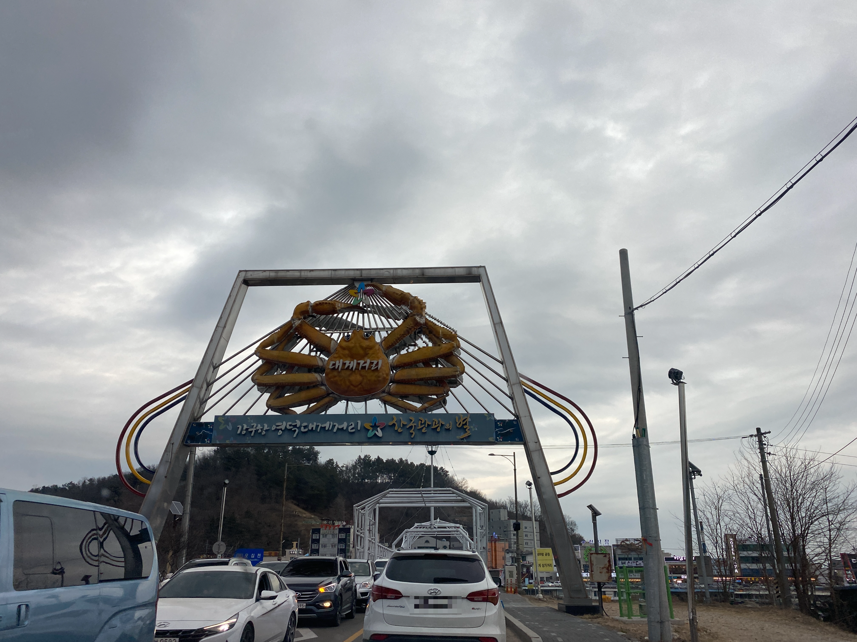 태왕대게회타운 5