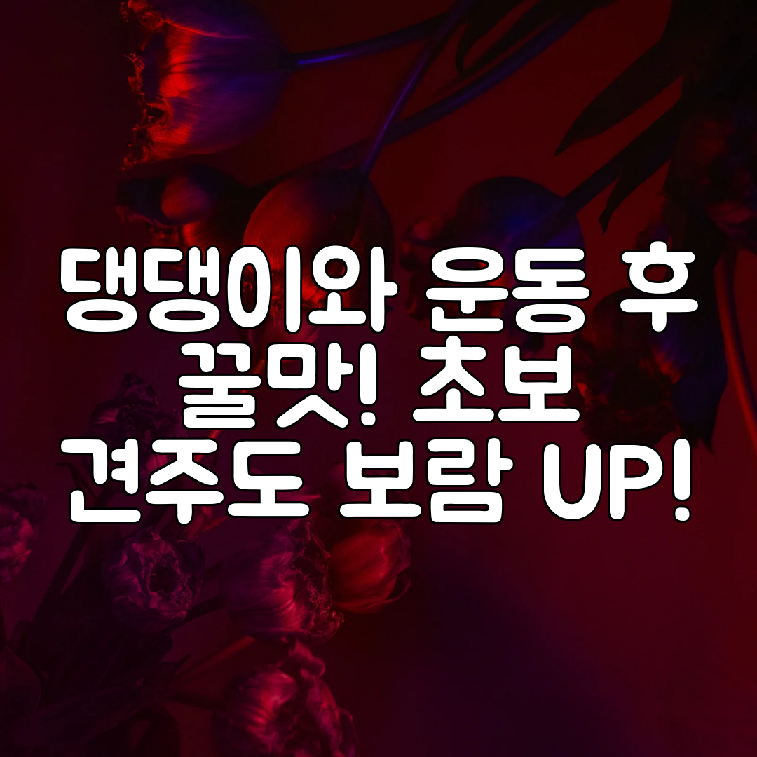 댕댕이와 운동 후 꿀맛! 초보 견주도 보람 UP!