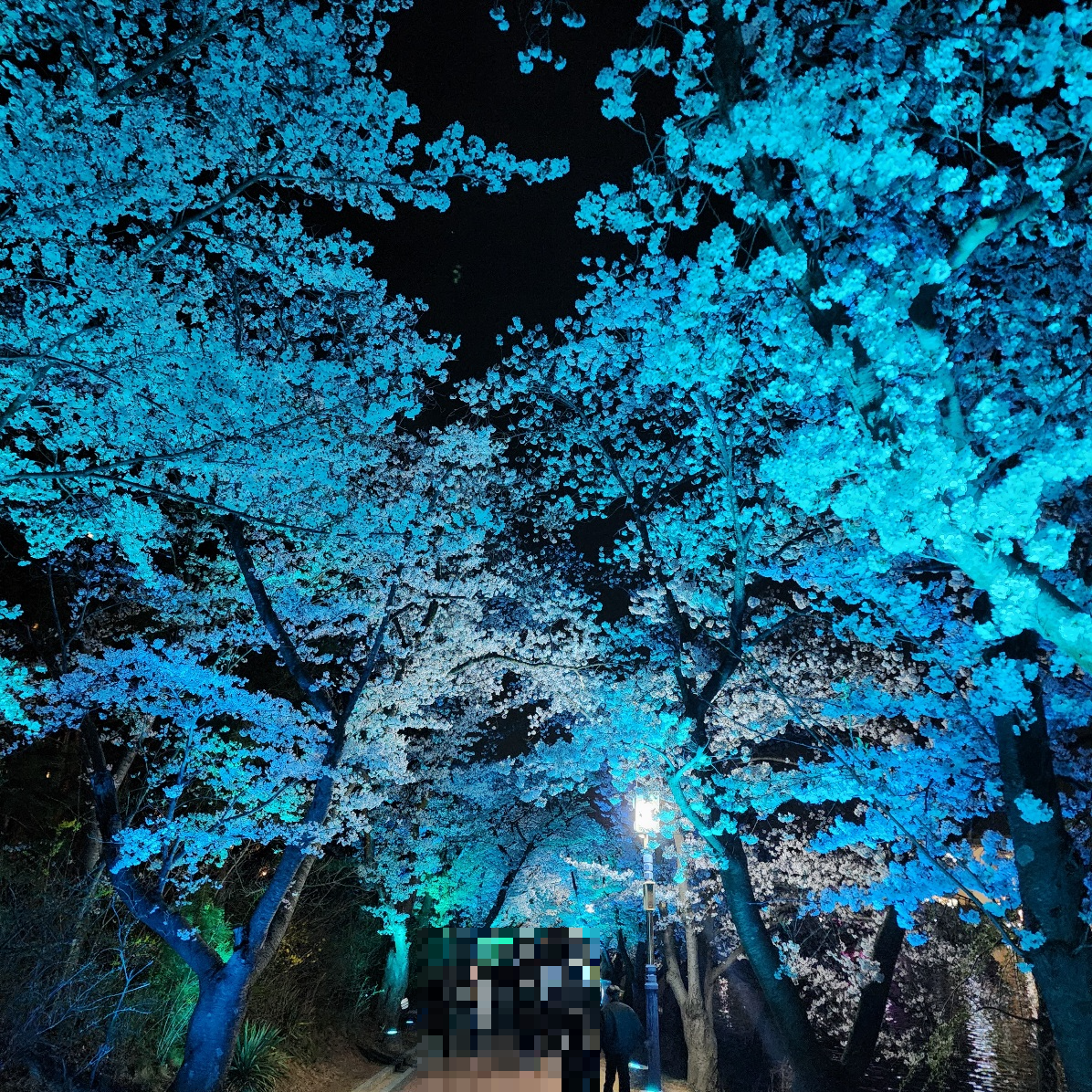 경주-보문호수-산책길