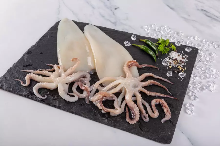  오징어(Squid) 건강의 슈퍼푸드! 당신이 아직 모르는 그 진짜 힘!