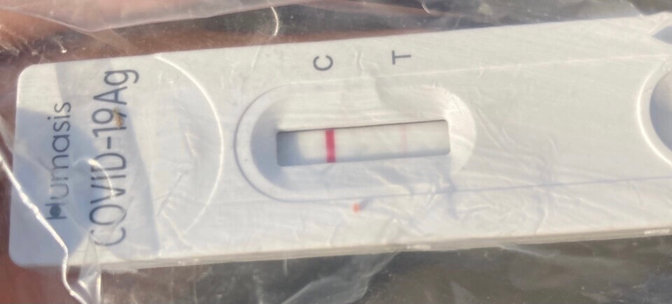 코로나_자가진단키트_양성