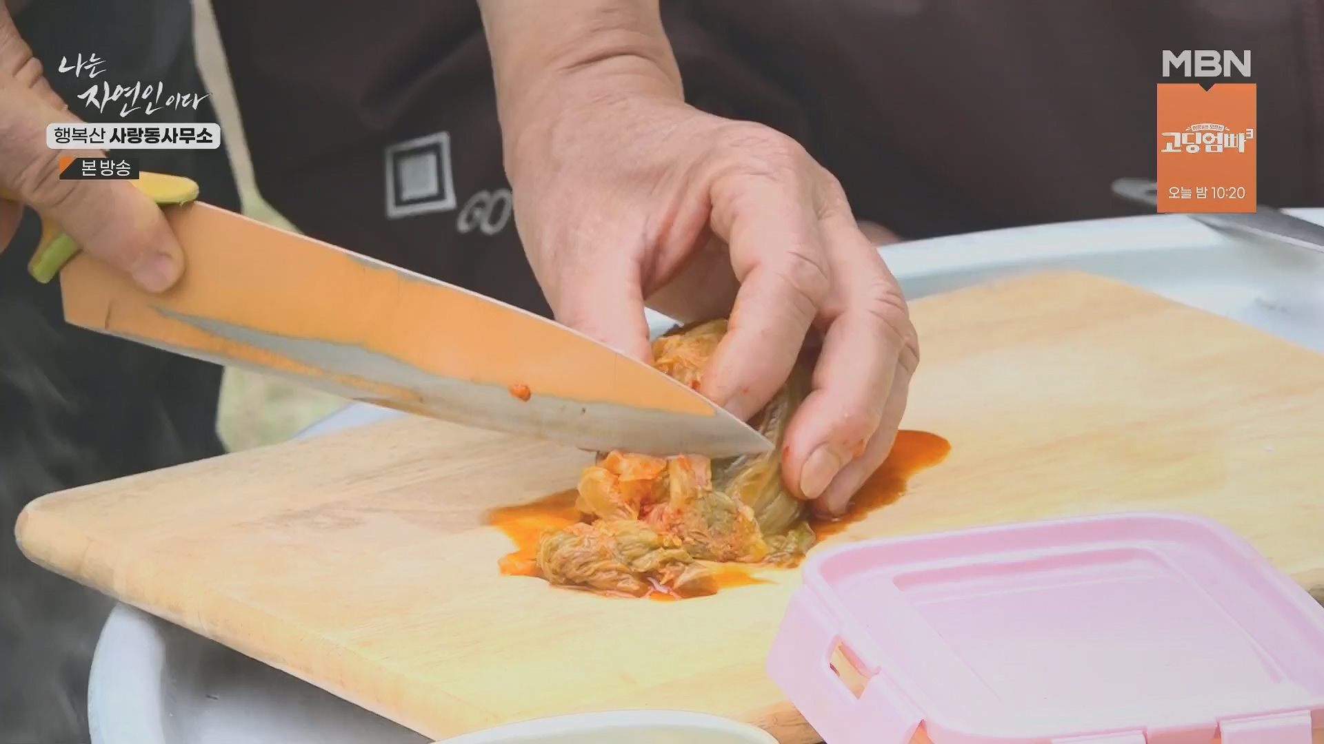 나는 자연인이다.E552.230503p.H264-F1RST.mp4_20230504_200308.795.jpg