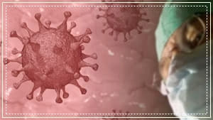 화이자-백신-교차접종
