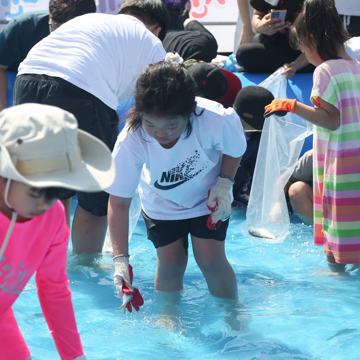 서천 홍원항 전어 꽃게 축제