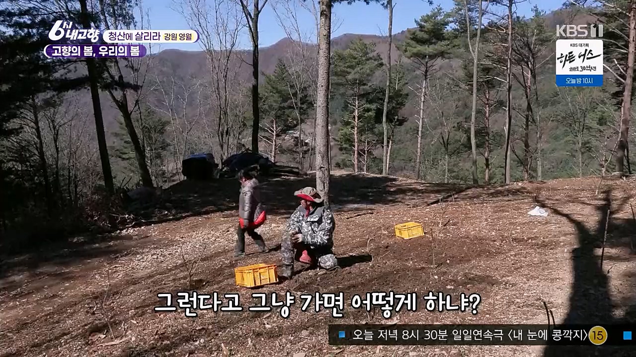 6시 내고향.E7751.230324p.H264-F1RST.mp4_20230324_205558.074.jpg