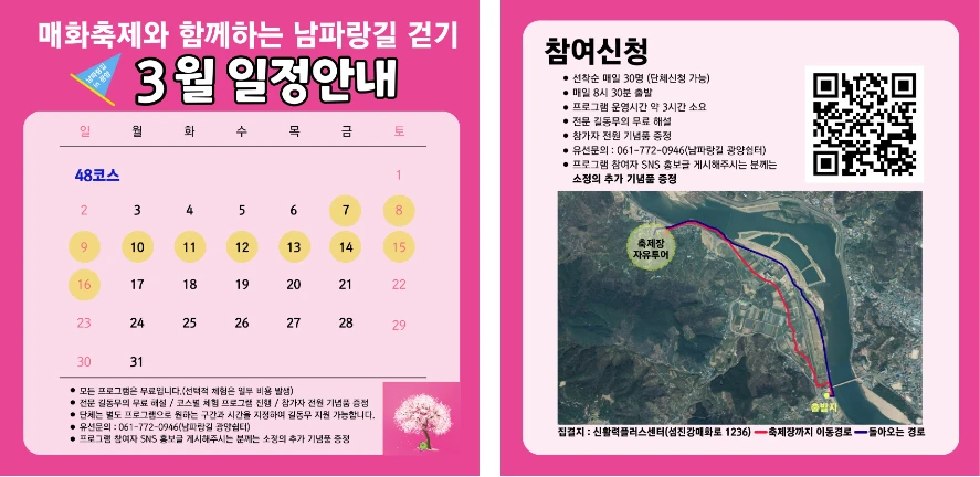 광양 매화축제 개화 상황(+실시간 CCTV) 2025