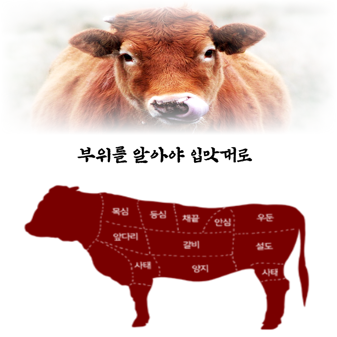  한우 소고기 선물세트 받는사람 취향에 맞춰 부위특징 알아보기