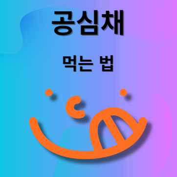 공심채 요리법