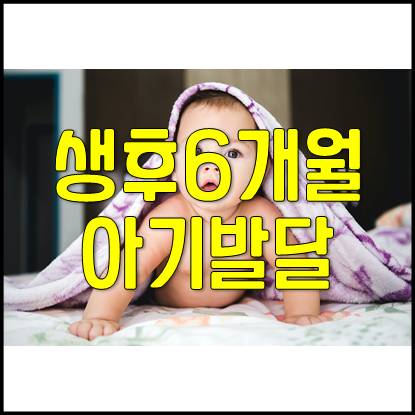  생후 6개월 아기 성장 발달 과정 및 육아(독감,간염 예방접종,이유식,배변)