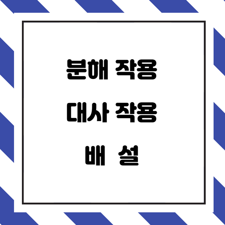  피로 원인과 대사, 해독을 위한 3가지 작용