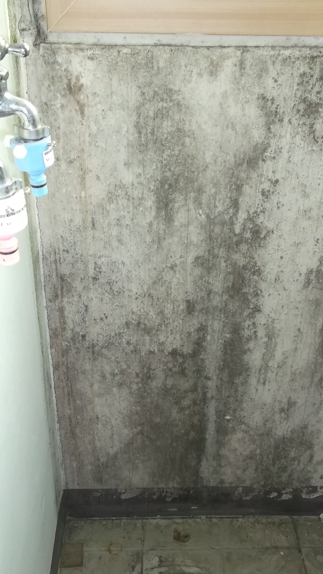  세탁실 베란다 곰팡이제거 해결은 어떻게?