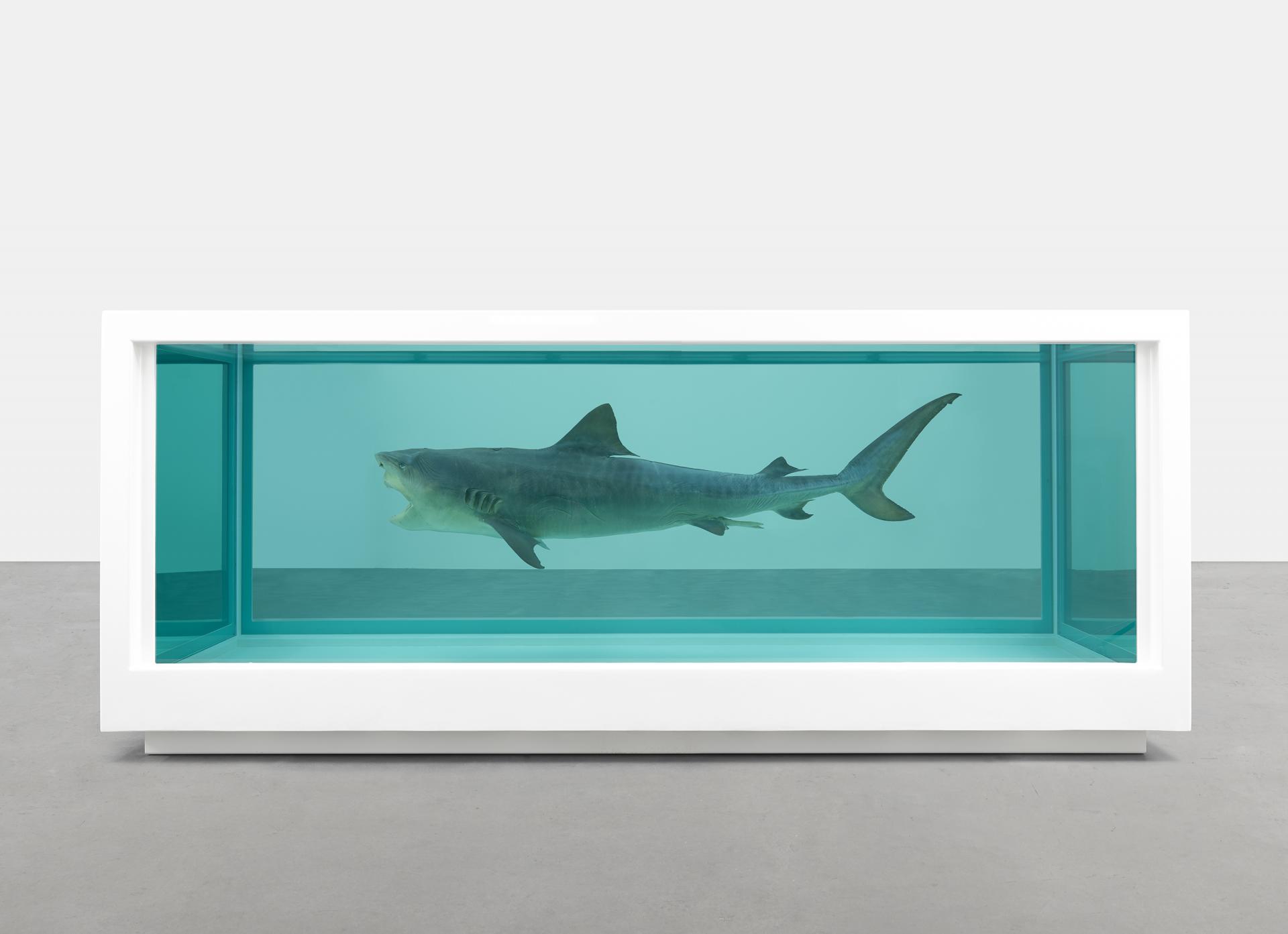  그로데스크한 작품으로 삶과 죽음의 경계를 넘나드는 현대미술의 거장"데미안 허스트(Damien Hirst)"