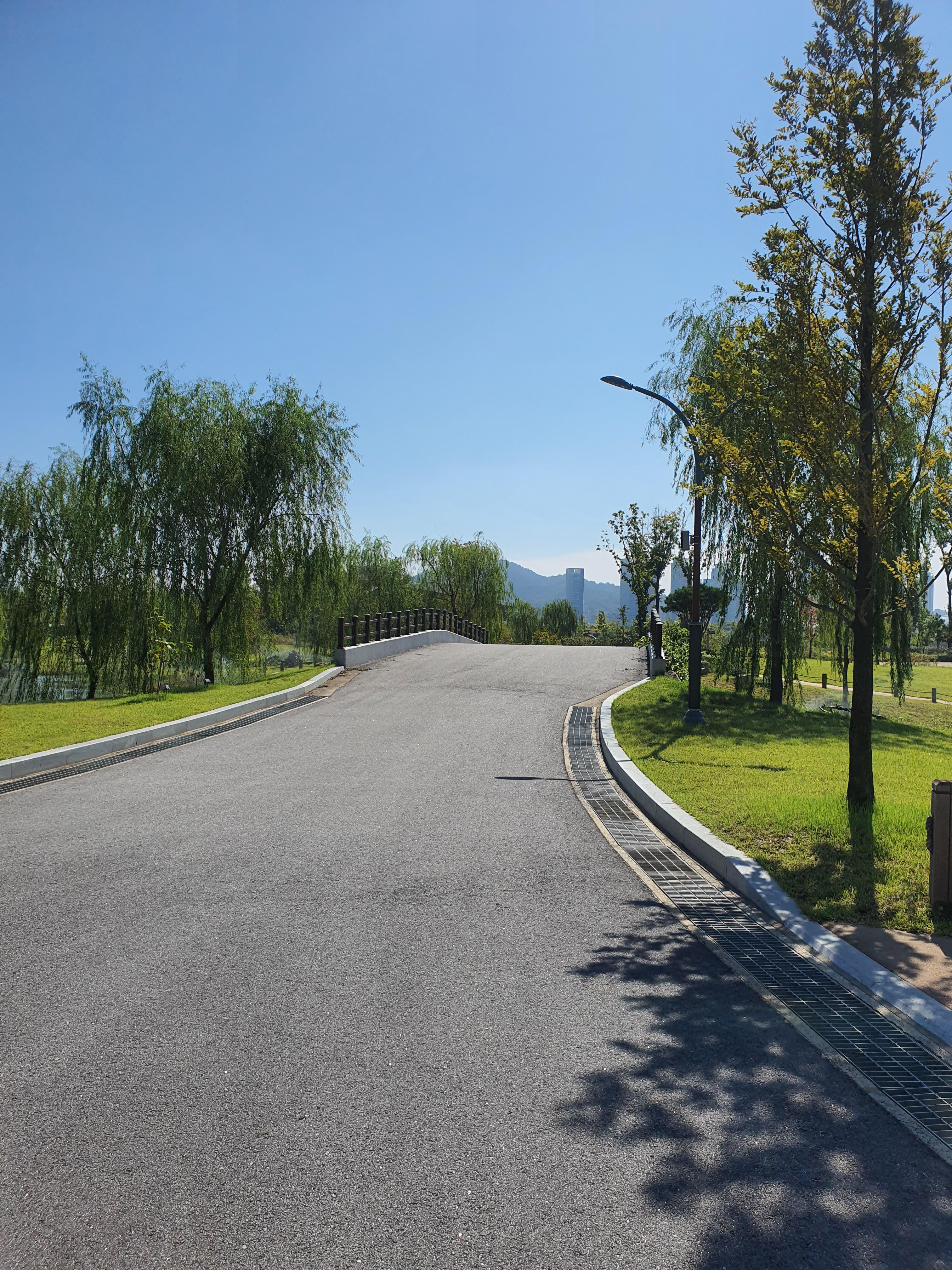 국립세종수목원 야간 개장 이용 안내 할인 혜택 세종 가볼만한 곳