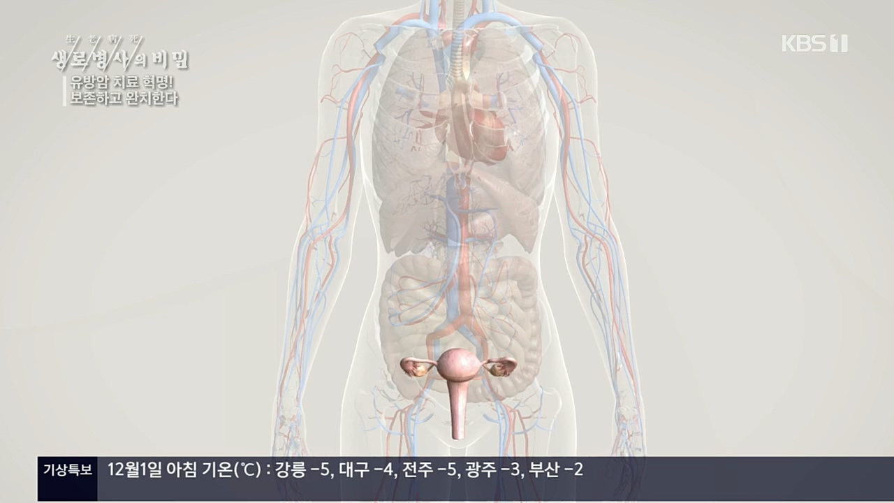 생로병사의 비밀.E845.221131p.H264-F1RST.mp4_20221201_215319.404.jpg